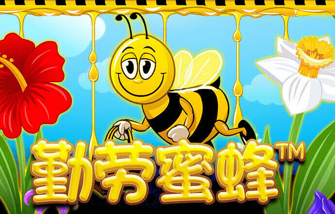 乐博体育最新版